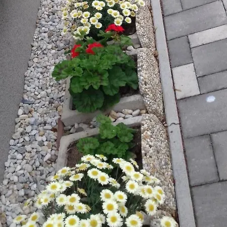 In Im Parterre Mit Garten By Interhome Bük