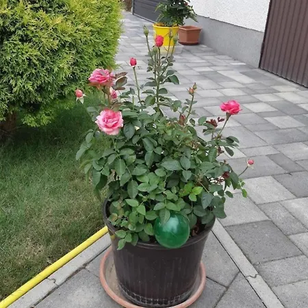 In Im Parterre Mit Garten By Interhome Διαμέρισμα