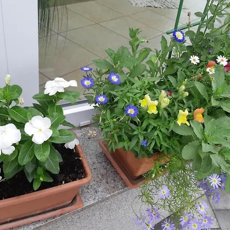 Διαμέρισμα In Im Parterre Mit Garten By Interhome