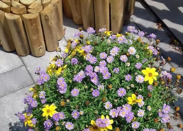 In Im Parterre Mit Garten By Interhome Бюк