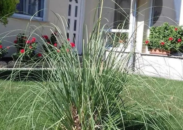 Апартаменты In Im Parterre Mit Garten By Interhome