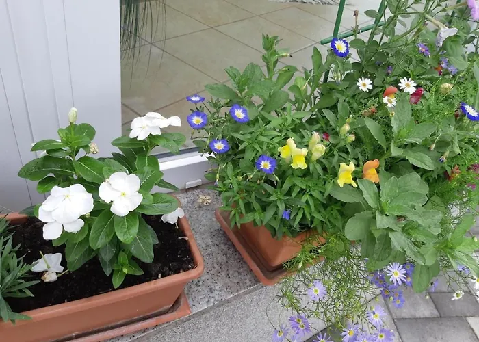 Апартаменты In Im Parterre Mit Garten By Interhome