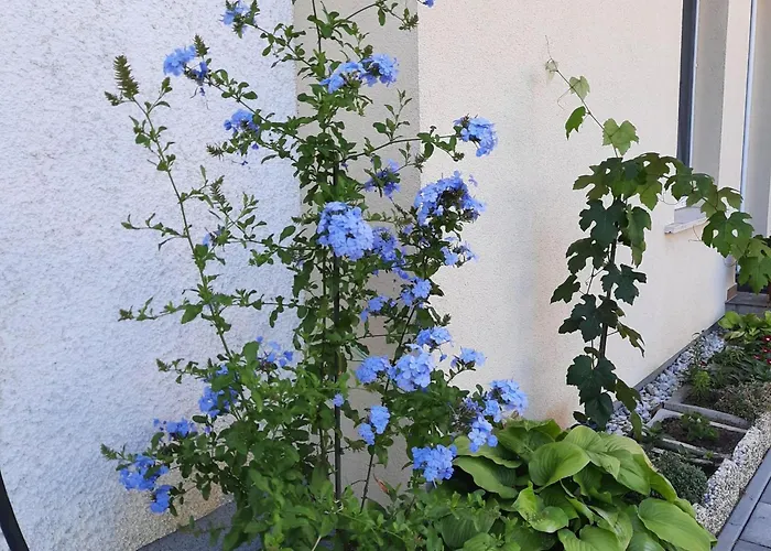 In Im Parterre Mit Garten By Interhome Bük